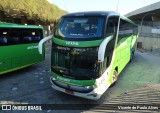 Pássaro Verde 12126 na cidade de Belo Horizonte, Minas Gerais, Brasil, por Vicente de Paulo Alves. Número da foto: #9104095.