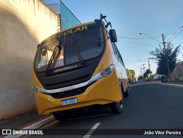 Prefeitura Municipal de Estrela d'Oeste ESCOLAR na cidade de Estrela d`Oeste, São Paulo, Brasil, por João Vitor Pereira. Número da foto: #9107315.