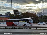 Rouxinol 425 na cidade de Contagem, Minas Gerais, Brasil, por Douglas Yuri. ID da foto: :id.