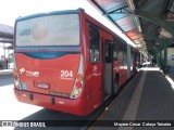 Viação Tindiquera 204 na cidade de Araucária, Paraná, Brasil, por Mayron Cesar  Colaço Teixeira. Número da foto: #9106735.