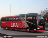 Lirabus 15019 na cidade de São Paulo, São Paulo, Brasil, por Danilo Marcelo Silva. Número da foto: #9110396.