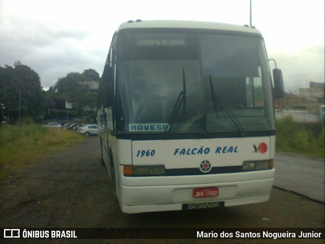 Falcão Real 1960 na cidade de Salvador, Bahia, Brasil, por Mario dos Santos Nogueira Junior. ID da foto: 9115040.