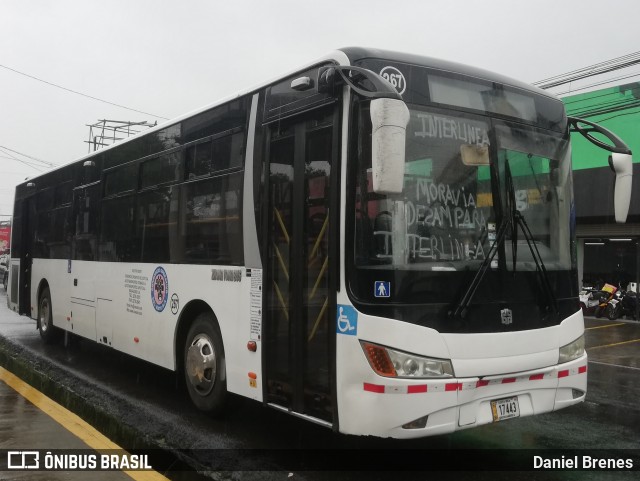 Magasoso 267 na cidade de San Vicente, Moravia, San José, Costa Rica, por Daniel Brenes. Número da foto: #9114643.