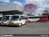 Rouxinol 580 na cidade de Belo Horizonte, Minas Gerais, Brasil, por Weslley Silva. ID da foto: :id.