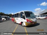 Rouxinol 580 na cidade de Belo Horizonte, Minas Gerais, Brasil, por Weslley Silva. Número da foto: #:id.