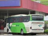 Pássaro Verde 29015 na cidade de João Monlevade, Minas Gerais, Brasil, por Joase Batista da Silva. Número da foto: #:id.