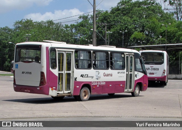 Rio Guamá AP-31705 na cidade de Belém, Pará, Brasil, por Yuri Ferreira Marinho. ID da foto: 9120129.