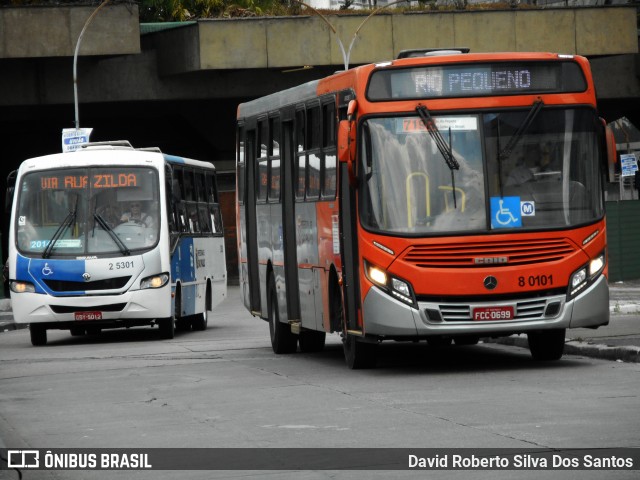 TRANSPPASS - Transporte de Passageiros 8 0101 na cidade de São Paulo, São Paulo, Brasil, por David Roberto Silva Dos Santos. Número da foto: #9123670.