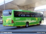 Pássaro Verde 20177 na cidade de Belo Horizonte, Minas Gerais, Brasil, por Whitiney Siqueira. Número da foto: #9122960.