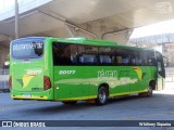 Pássaro Verde 20177 na cidade de Belo Horizonte, Minas Gerais, Brasil, por Whitiney Siqueira. ID da foto: :id.