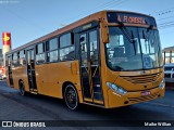 Auto Viação Chapecó 17287 na cidade de Chapecó, Santa Catarina, Brasil, por Maike Willian. Número da foto: #:id.