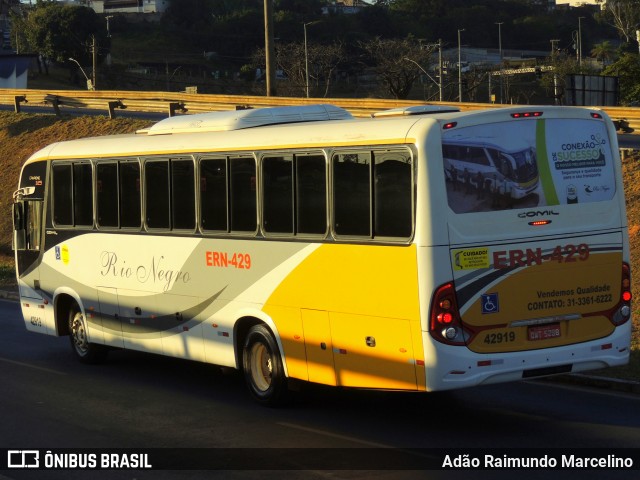 Rio Negro Fretamento e Turismo 42919 na cidade de Contagem, Minas Gerais, Brasil, por Adão Raimundo Marcelino. ID da foto: 9131086.