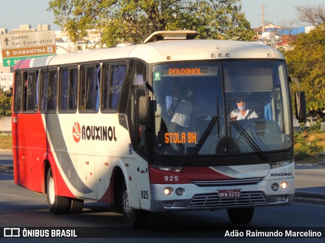 Rouxinol 925 na cidade de Contagem, Minas Gerais, Brasil, por Adão Raimundo Marcelino. Número da foto: #9131018.