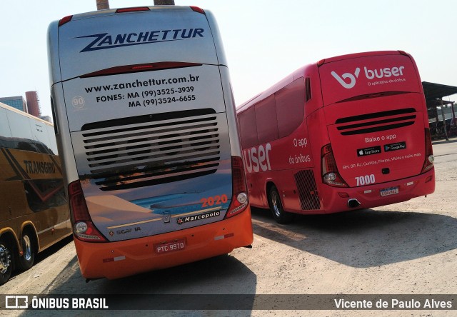Zanchettur 2020 na cidade de São Paulo, São Paulo, Brasil, por Vicente de Paulo Alves. Número da foto: #9051671.
