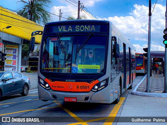 TRANSPPASS - Transporte de Passageiros 8 0501 na cidade de São Paulo, São Paulo, Brasil, por Guilherme  Palma. ID da foto: 9052192.