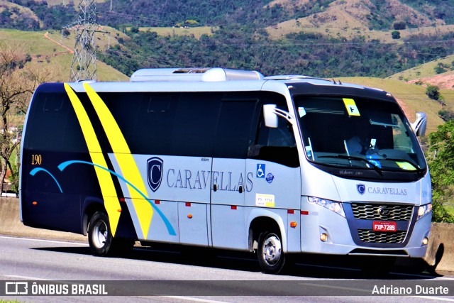 Caravellas Transportes e Turismo 190 na cidade de Roseira, São Paulo, Brasil, por Adriano Duarte. Número da foto: #9054019.