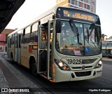 Araucária Transportes Coletivos 19025 na cidade de Curitiba, Paraná, Brasil, por Hipólito Rodrigues. Número da foto: #:id.