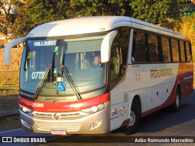 Rouxinol 2130 na cidade de Belo Horizonte, Minas Gerais, Brasil, por Adão Raimundo Marcelino. ID da foto: 9133918.