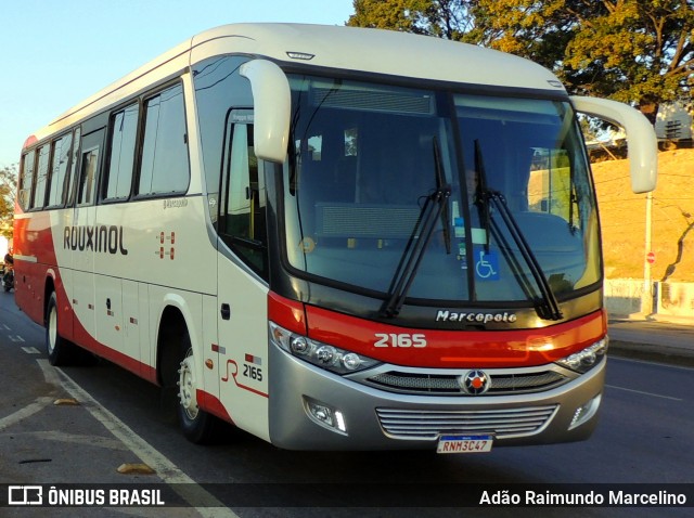 Rouxinol 2165 na cidade de Belo Horizonte, Minas Gerais, Brasil, por Adão Raimundo Marcelino. Número da foto: #9133867.