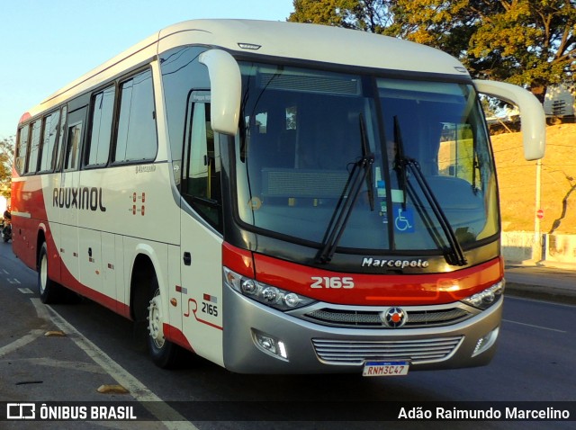 Rouxinol 2165 na cidade de Belo Horizonte, Minas Gerais, Brasil, por Adão Raimundo Marcelino. ID da foto: 9133867.