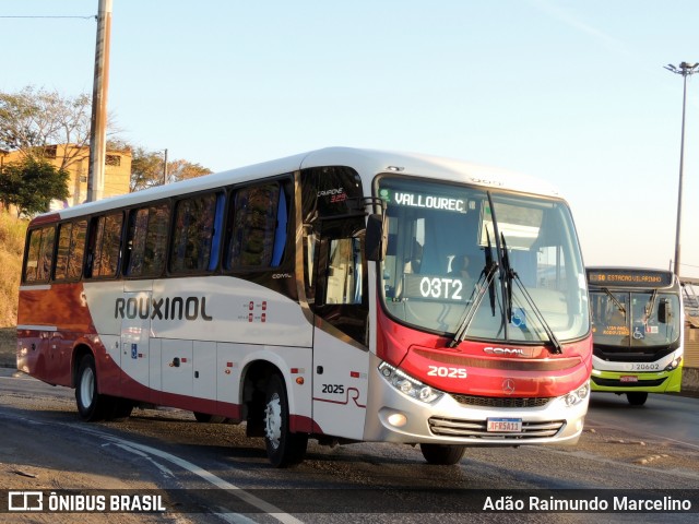 Rouxinol 2025 na cidade de Belo Horizonte, Minas Gerais, Brasil, por Adão Raimundo Marcelino. ID da foto: 9133889.