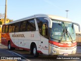 Rouxinol 2120 na cidade de Belo Horizonte, Minas Gerais, Brasil, por Adão Raimundo Marcelino. Número da foto: #:id.
