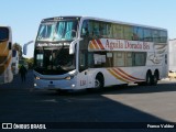 Águila Dorada 114 na cidade de Buenos Aires, Argentina, por Franco Valdez. Número da foto: #9133454.