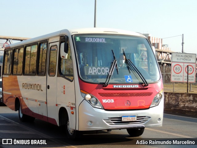 Rouxinol 1603 na cidade de Belo Horizonte, Minas Gerais, Brasil, por Adão Raimundo Marcelino. ID da foto: 9170093.