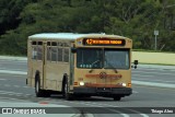Lynx 559 na cidade de Orlando, Florida, Estados Unidos, por Thiago Alex. Número da foto: #9167655.