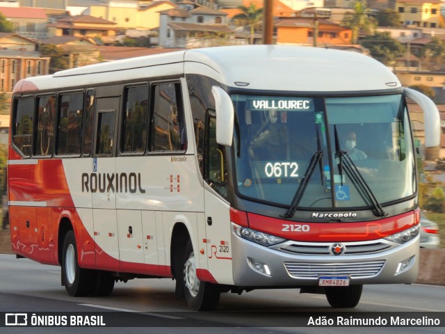 Rouxinol 2120 na cidade de Belo Horizonte, Minas Gerais, Brasil, por Adão Raimundo Marcelino. ID da foto: 9173585.