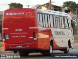 Rouxinol 2120 na cidade de Belo Horizonte, Minas Gerais, Brasil, por Adão Raimundo Marcelino. Número da foto: #9173590.