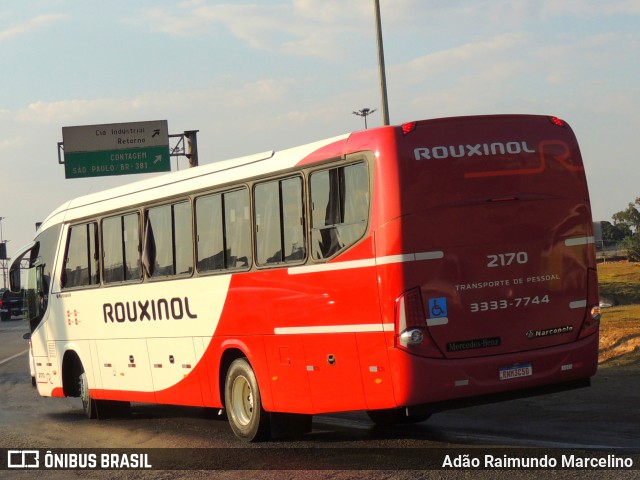 Rouxinol 2170 na cidade de Belo Horizonte, Minas Gerais, Brasil, por Adão Raimundo Marcelino. ID da foto: 9176111.