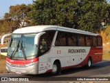Rouxinol 2170 na cidade de Belo Horizonte, Minas Gerais, Brasil, por Adão Raimundo Marcelino. Número da foto: #9176098.