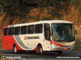 Rouxinol 366 na cidade de Belo Horizonte, Minas Gerais, Brasil, por Adão Raimundo Marcelino. Número da foto: #9176168.