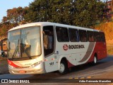 Rouxinol 161 na cidade de Belo Horizonte, Minas Gerais, Brasil, por Adão Raimundo Marcelino. ID da foto: :id.