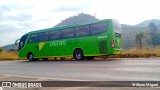 Pássaro Verde 15127 na cidade de Orizânia, Minas Gerais, Brasil, por Willyan Miguel. Número da foto: #:id.