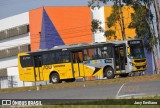 Sancetur - Sou Limeira 2011 na cidade de Limeira, São Paulo, Brasil, por Jacy Emiliano. Número da foto: #:id.