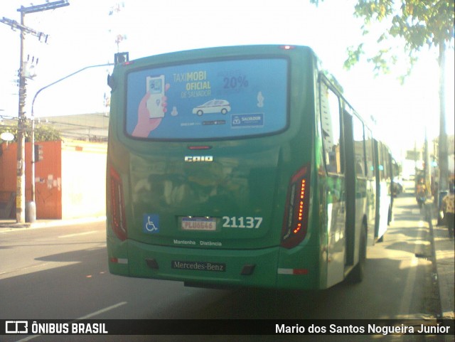 OT Trans - Ótima Salvador Transportes 21137 na cidade de Salvador, Bahia, Brasil, por Mario dos Santos Nogueira Junior. Número da foto: #9181339.