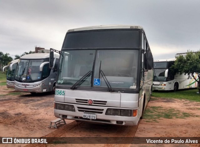 Souza Yokota 2565 na cidade de Olímpia, São Paulo, Brasil, por Vicente de Paulo Alves. Número da foto: #9187361.