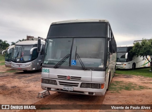 Souza Yokota 2565 na cidade de Olímpia, São Paulo, Brasil, por Vicente de Paulo Alves. ID da foto: 9187361.