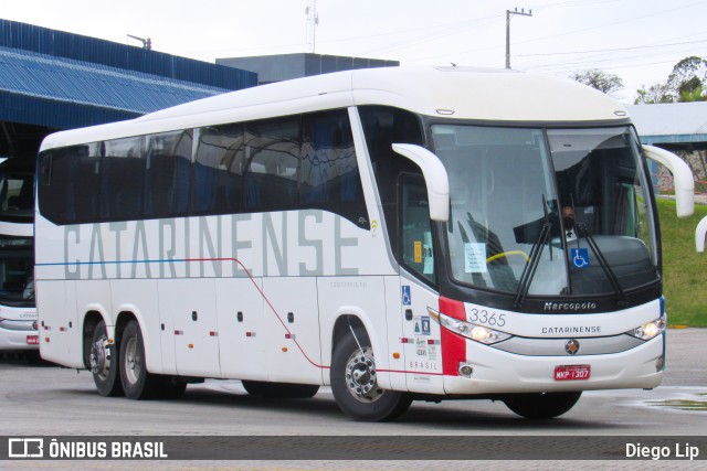 Auto Viação Catarinense 3365 na cidade de Florianópolis, Santa Catarina, Brasil, por Diego Lip. Número da foto: #9185849.