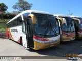 Rouxinol 100 na cidade de Belo Horizonte, Minas Gerais, Brasil, por Weslley Silva. ID da foto: :id.