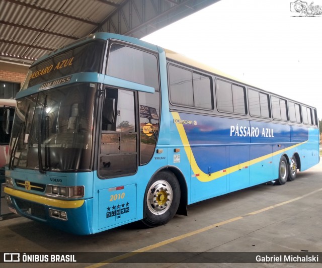 Ônibus Particulares 2010 na cidade de Ponta Grossa, Paraná, Brasil, por Gabriel Michalski. ID da foto: 9199937.