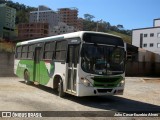 Pássaro Verde 29012 na cidade de Viçosa, Minas Gerais, Brasil, por Julio Cesar Euzebio Alves. Número da foto: #:id.