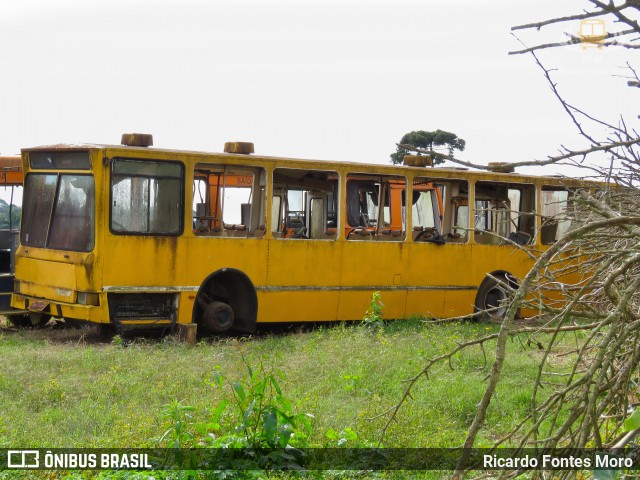 Sucata e Desmanches 4957 na cidade de Araucária, Paraná, Brasil, por Ricardo Fontes Moro. Número da foto: #9207244.