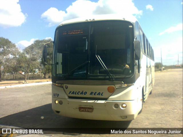 Falcão Real 1070 na cidade de Capim Grosso, Bahia, Brasil, por Mario dos Santos Nogueira Junior. ID da foto: 9206529.