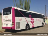 A Gladiadora Turismo 3131 na cidade de Londrina, Paraná, Brasil, por André Aguirra Taioqui. Número da foto: #:id.