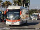 Viação Vale do Tietê 847 na cidade de Itupeva, São Paulo, Brasil, por Paul Azile. Número da foto: #9204792.