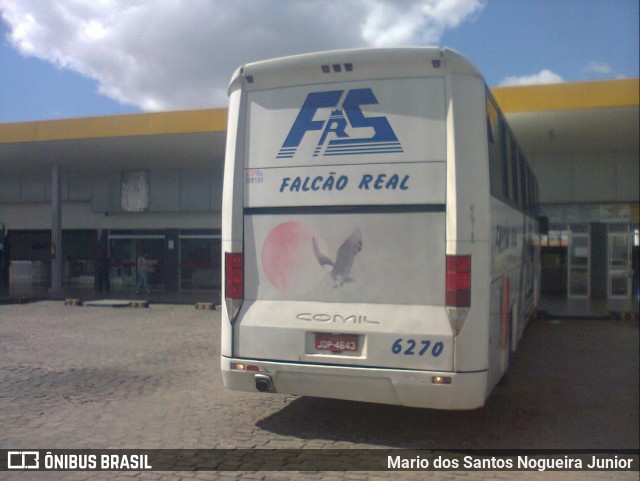 Falcão Real 6270 na cidade de Capim Grosso, Bahia, Brasil, por Mario dos Santos Nogueira Junior. ID da foto: 9209901.