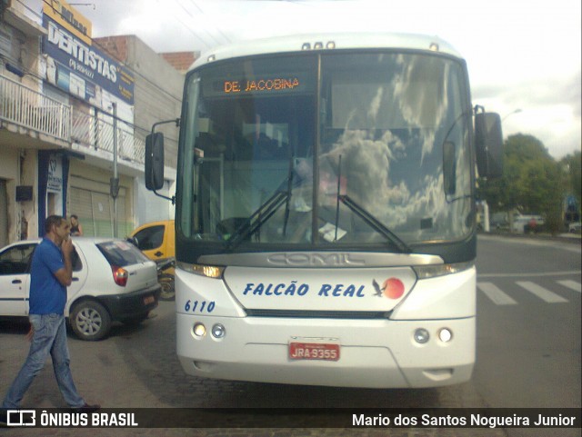 Falcão Real 6110 na cidade de Capim Grosso, Bahia, Brasil, por Mario dos Santos Nogueira Junior. ID da foto: 9209911.